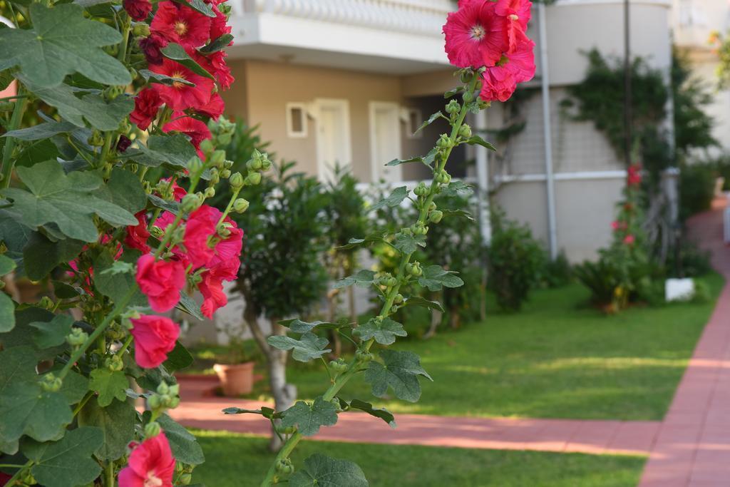 Oludeniz Turquoise Hotel ภายนอก รูปภาพ