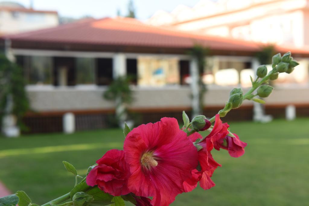 Oludeniz Turquoise Hotel ภายนอก รูปภาพ